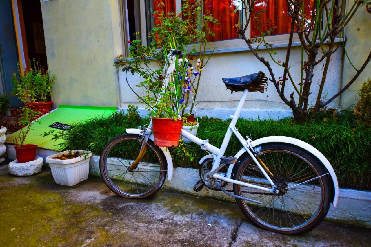 Lovely Apartment W/ Ac + Bath. + Kitchen + Parking And Garden Shkodër Dış mekan fotoğraf